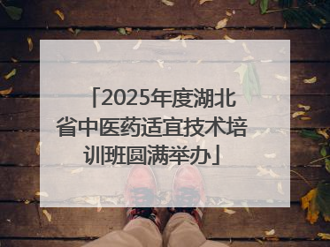 2025年度湖北省中医药适宜技术培训班圆满举办