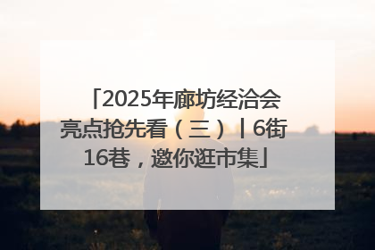 2025年廊坊经洽会亮点抢先看（三）丨6街16巷，邀你逛市集