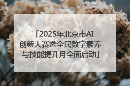 2025年北京市AI创新大赛暨全民数字素养与技能提升月全面启动