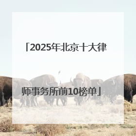 2025年北京十大律师事务所前10榜单