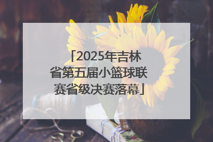2025年吉林省第五届小篮球联赛省级决赛落幕