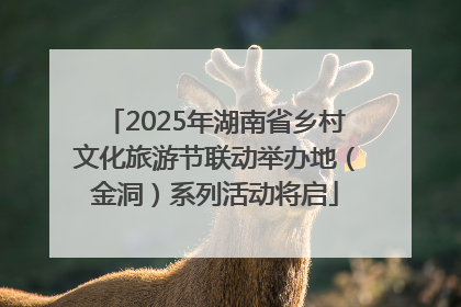 2025年湖南省乡村文化旅游节联动举办地（金洞）系列活动将启
