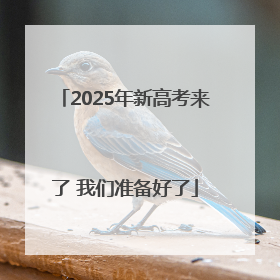 2025年新高考来了 我们准备好了