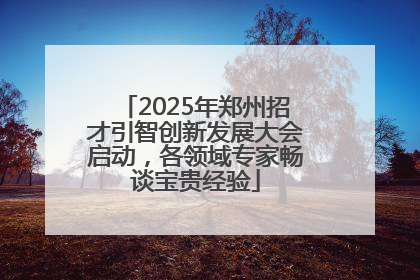 2025年郑州招才引智创新发展大会启动，各领域专家畅谈宝贵经验