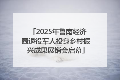 2025年鲁南经济圈退役军人投身乡村振兴成果展销会启幕