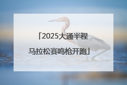 2025大通半程马拉松赛鸣枪开跑