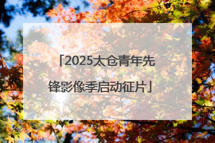 2025太仓青年先锋影像季启动征片