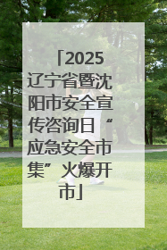 2025辽宁省暨沈阳市安全宣传咨询日“应急安全市集”火爆开市