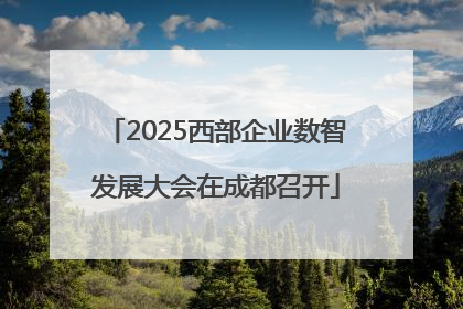 2025西部企业数智发展大会在成都召开