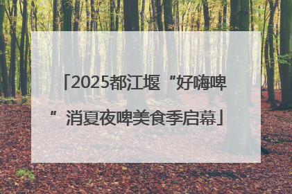 2025都江堰“好嗨啤”消夏夜啤美食季启幕