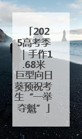 2025高考季｜手作1.68米巨型向日葵预祝考生“一举夺魁”