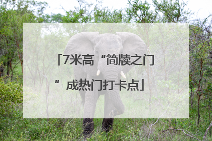7米高“简牍之门”成热门打卡点