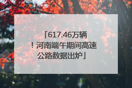 617.46万辆！河南端午期间高速公路数据出炉