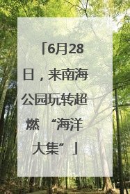 6月28日，来南海公园玩转超燃 “海洋大集”