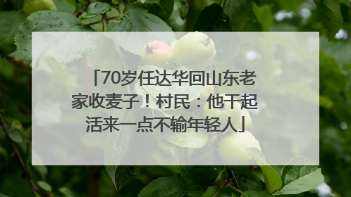 70岁任达华回山东老家收麦子！村民：他干起活来一点不输年轻人