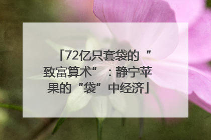 72亿只套袋的“致富算术”：静宁苹果的“袋”中经济
