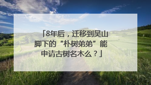 8年后，迁移到吴山脚下的“朴树弟弟”能申请古树名木么？