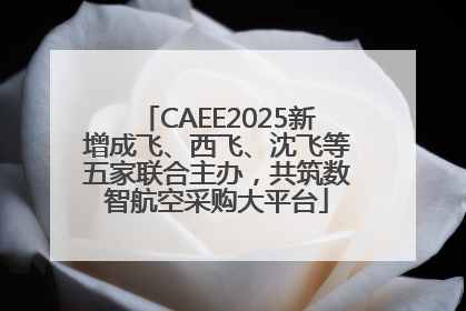 CAEE2025新增成飞、西飞、沈飞等五家联合主办，共筑数智航空采购大平台