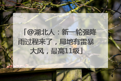 @湖北人：新一轮强降雨过程来了，局地有雷暴大风，最高11级