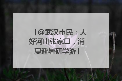 @武汉市民：大好河山张家口，消夏避暑研学游