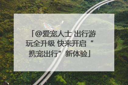 @爱宠人士 出行游玩全升级 快来开启“携宠出行”新体验