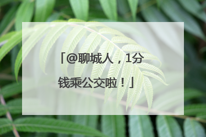 @聊城人，1分钱乘公交啦！