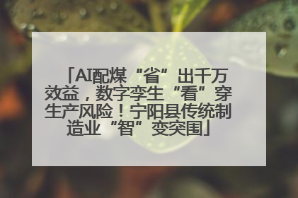 AI配煤“省”出千万效益，数字孪生“看”穿生产风险！宁阳县传统制造业“智”变突围
