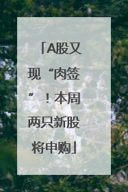 A股又现“肉签”！本周两只新股将申购