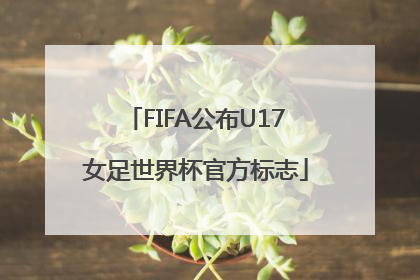 FIFA公布U17女足世界杯官方标志