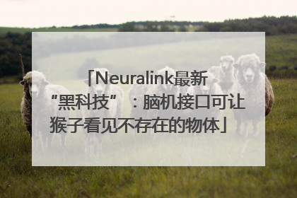 Neuralink最新“黑科技”：脑机接口可让猴子看见不存在的物体