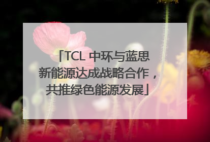 TCL 中环与蓝思新能源达成战略合作，共推绿色能源发展